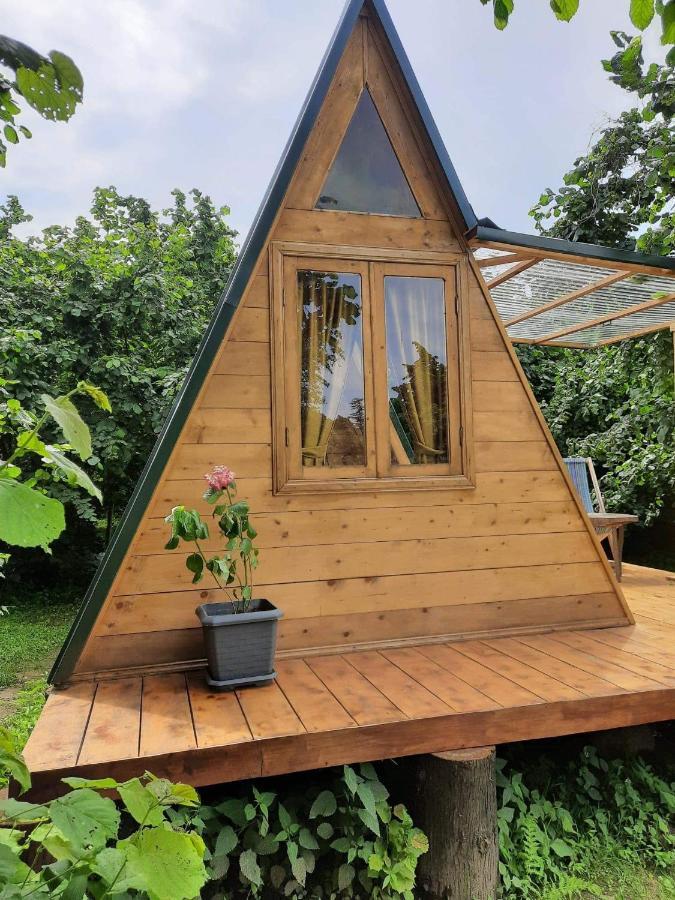 Dumbo Eco Camp Hotel Ozurget'i Exterior foto